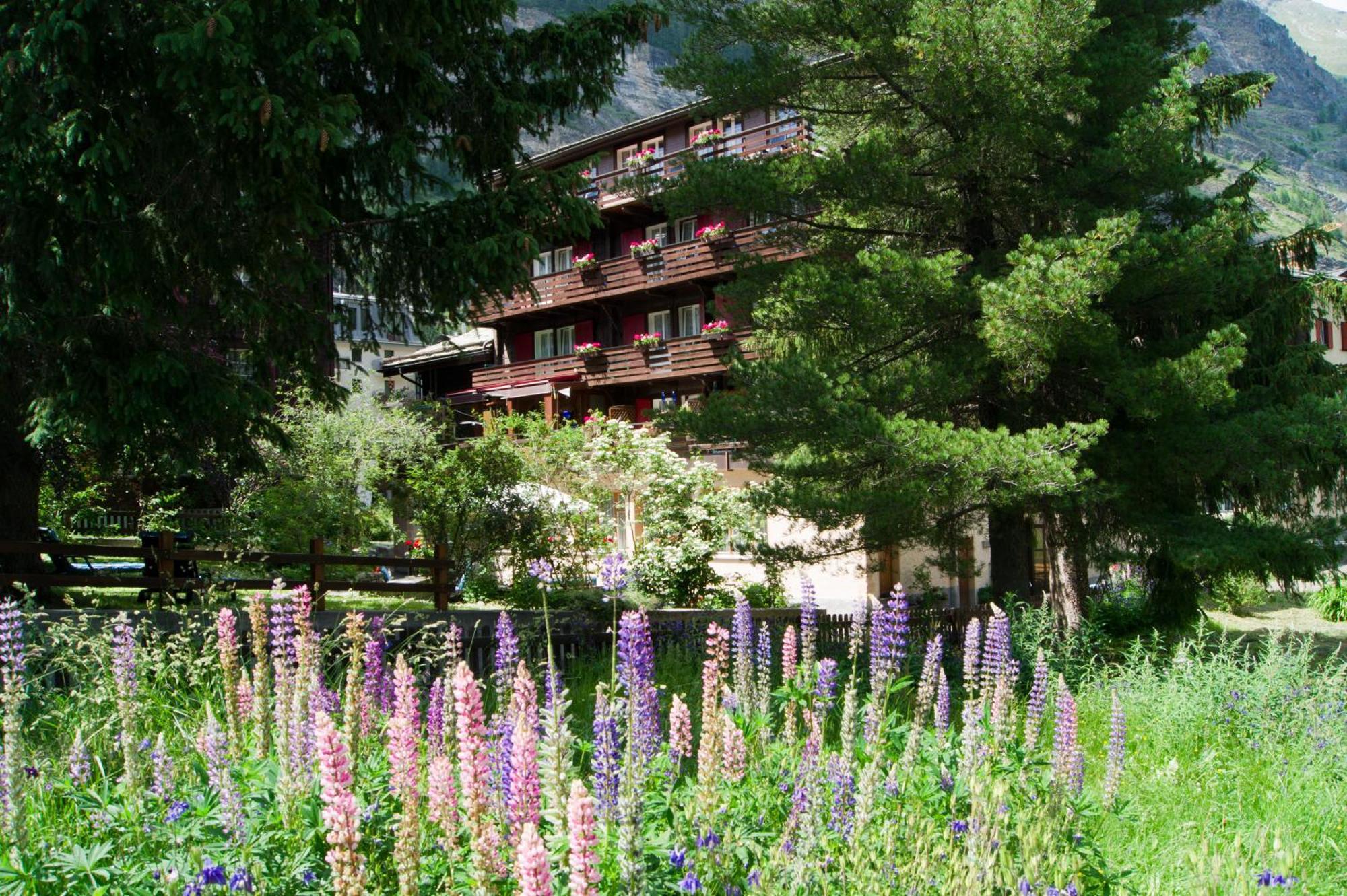 Hotel Alpina Zermatt Luaran gambar
